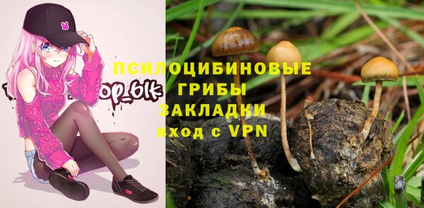индика Богданович