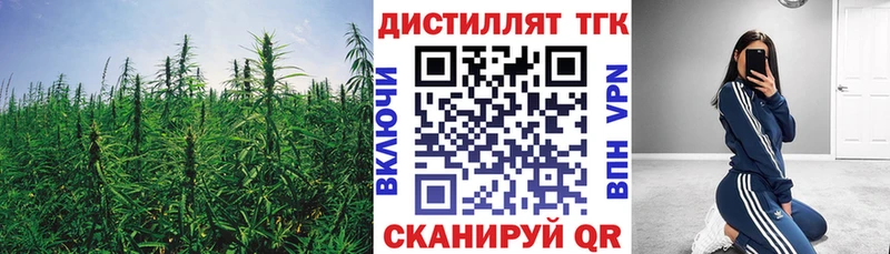 Купить  Костомукша  Дистиллят ТГК вейп 